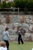 Volleybalu 2009