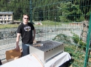 Volleybalu 2011